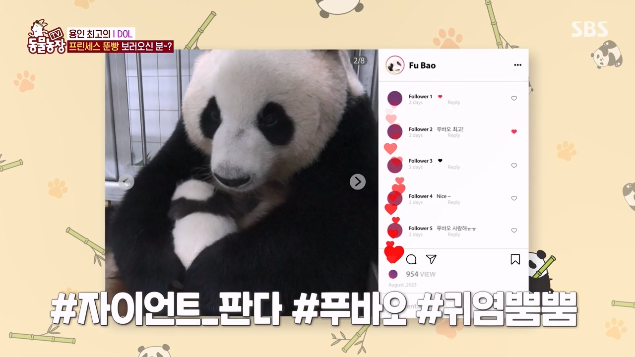 TV 동물농장.E1133.230814p-NEXT.mp4_20230813_171334.998.jpg