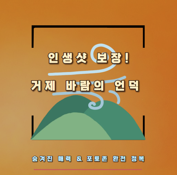 인생샷 보장! 거제 바람의 언덕 숨겨진 매력 & 포토존 완전 정복