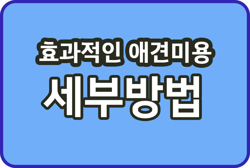  애견미용의 중요성과 효과적인 케어방법