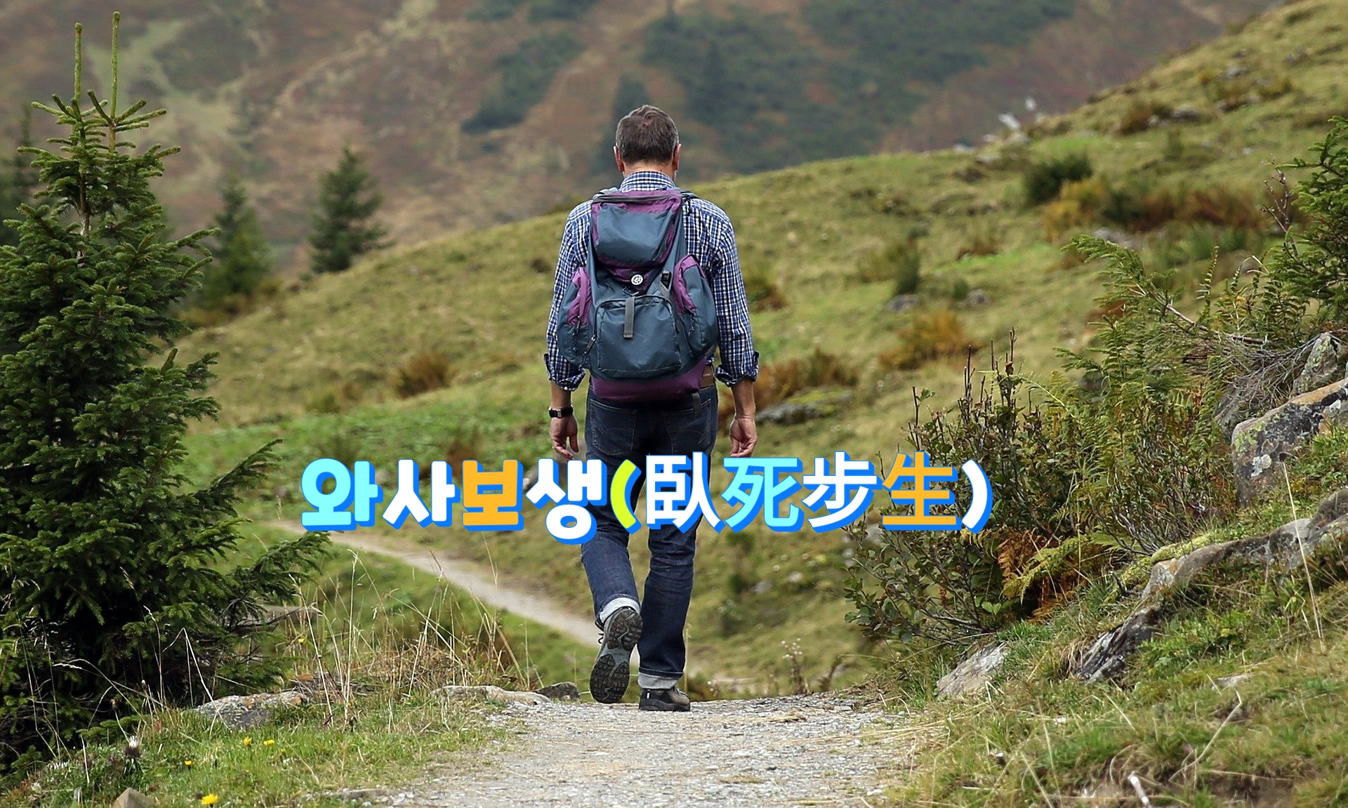  와사보생(臥死步生)