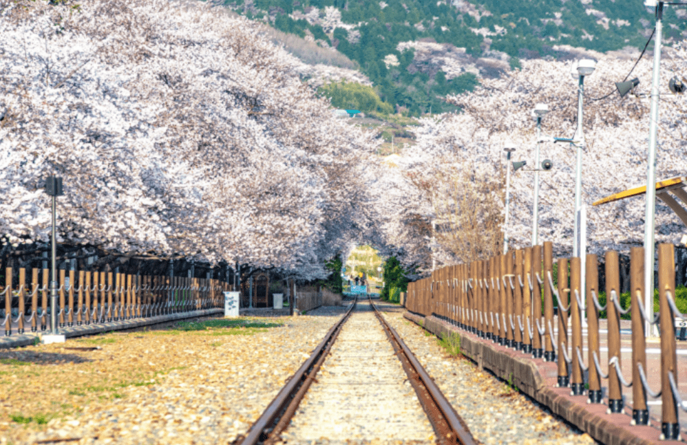 경화역공원