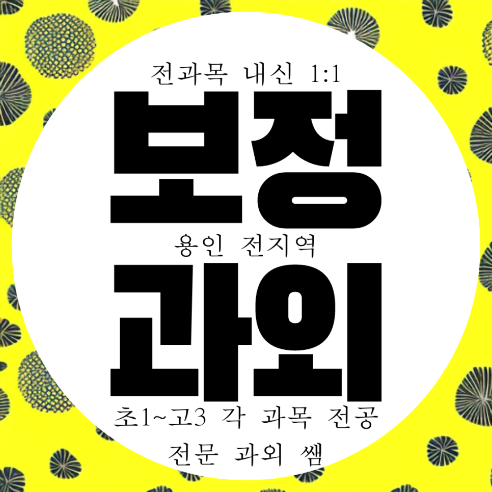  용인 국어과외 죽전동 영수 중등 보정동 고등 수학과외 과학