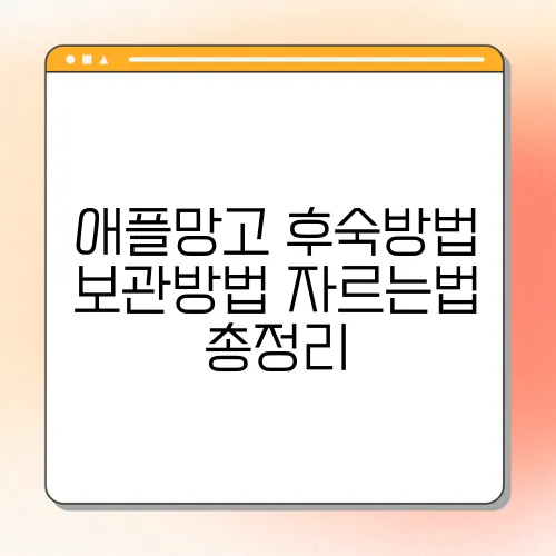 애플망고 후숙방법 보관방법 자르는법 총정리