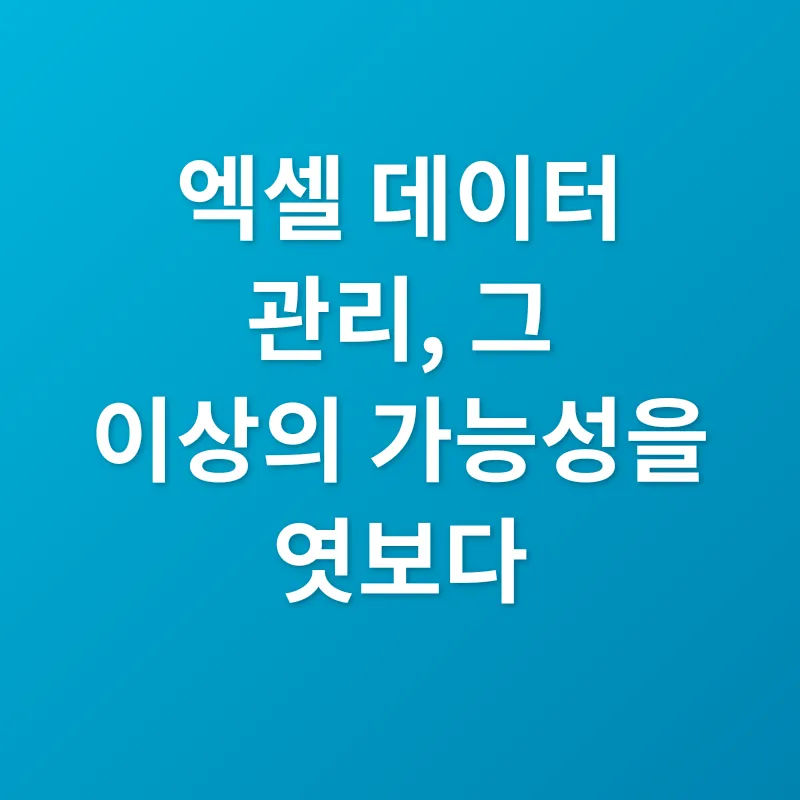 엑셀 데이터 관리_3