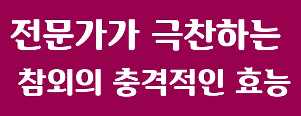 전문가가 극찬하는 참외의 충격적인 효능