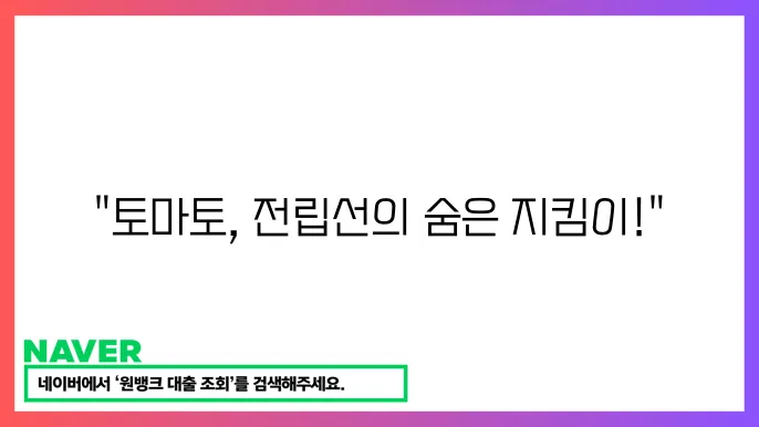 토마토 라이코펜 전립선 건강 보호와 항산화 작용