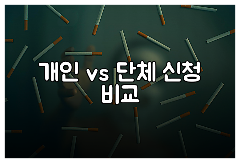 개인 vs 단체 신청 비교