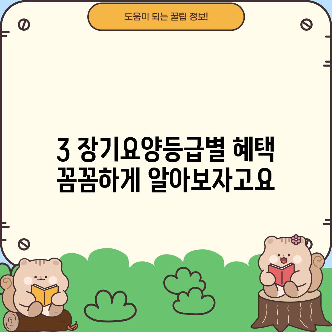 3. 장기요양등급별 혜택, 꼼꼼하게 알아보자고요!