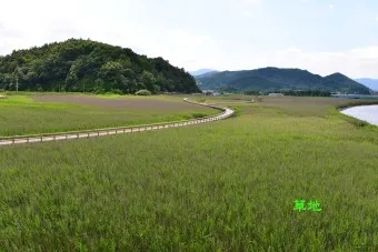 벌교 가볼만한곳 베스트10 꼬막 필수 맛집 꼭 가세요_7