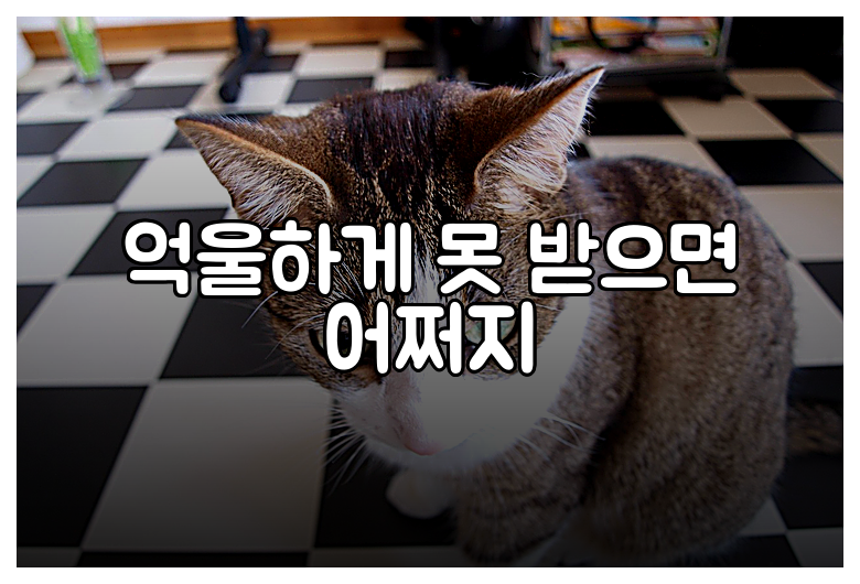 억울하게 못 받으면 어쩌지