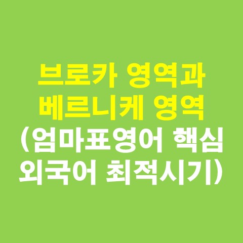 브로카 영역과 베르니케 영역(엄마표영어 핵심, 외국어 학습 최적시기)