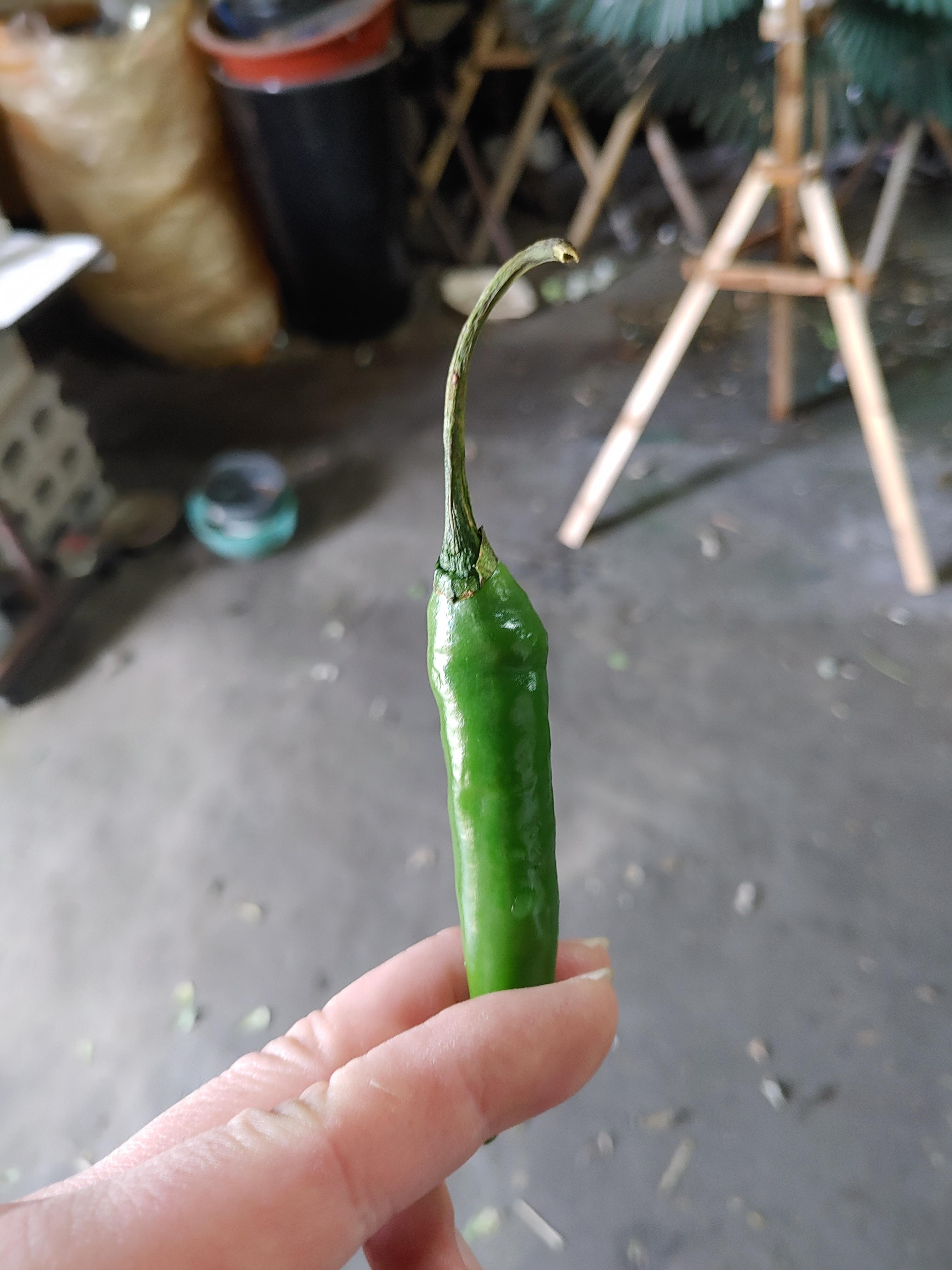  한끼 항정살 된장찌개