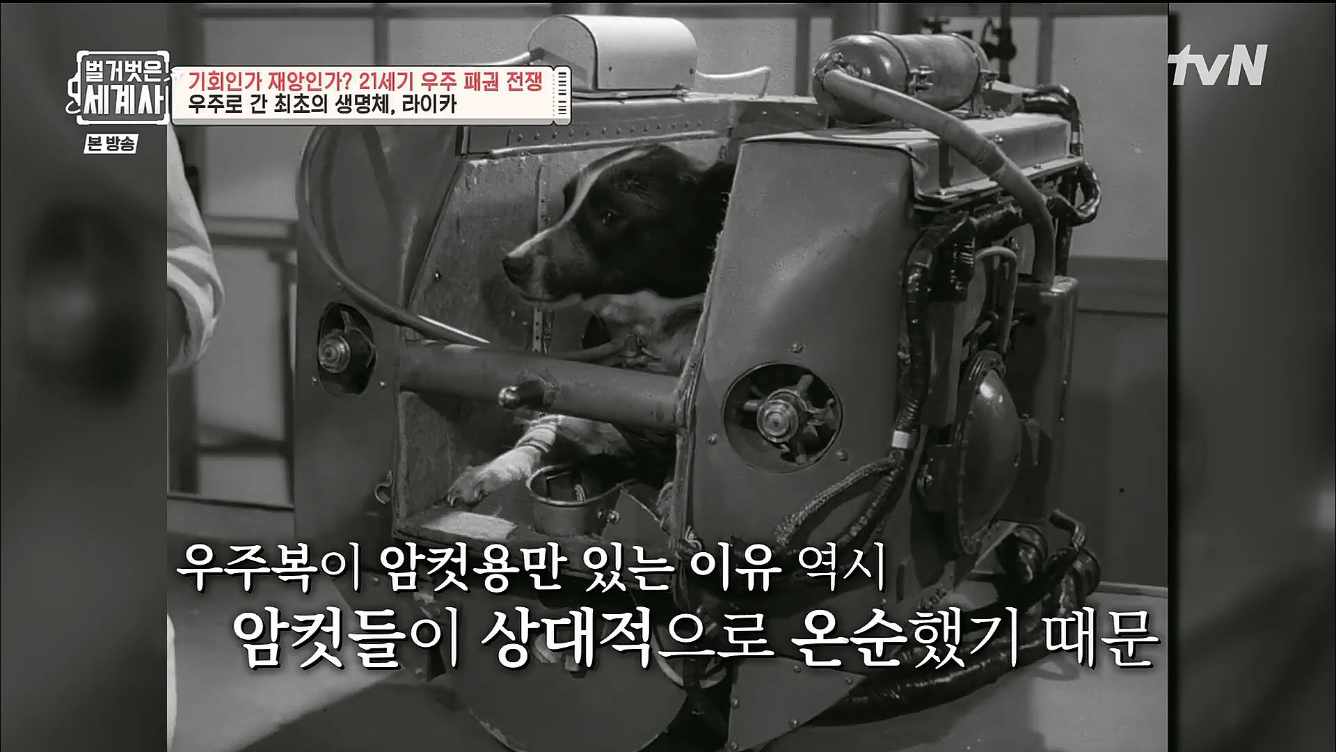 벌거벗은 세계사.E84.230131p.H264-F1RST.mp4_20230310_203843.578.jpg