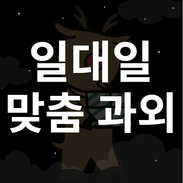  둔산1동 영어과외 둔산2동 수학과외 초등 중학생 고등 내신 국어