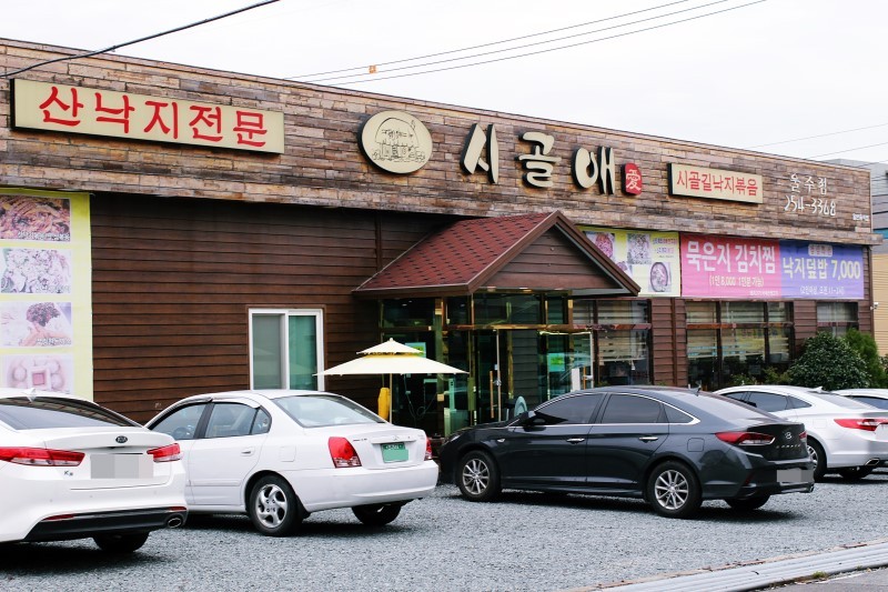 시골애 이미지