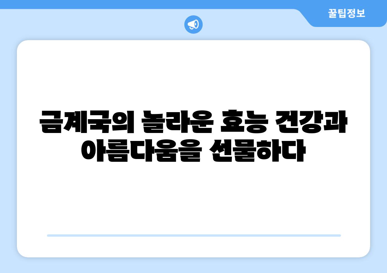 금계국의 놀라운 효능 건강과 아름다움을 선물하다