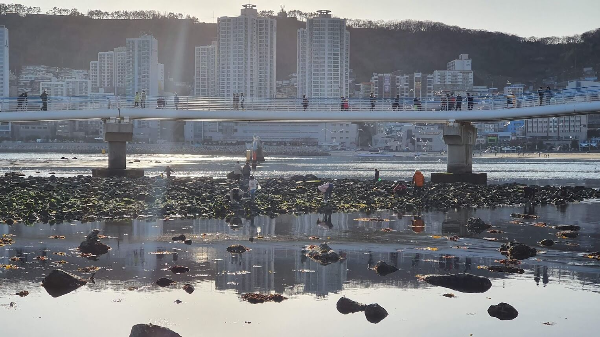 송도해수욕장