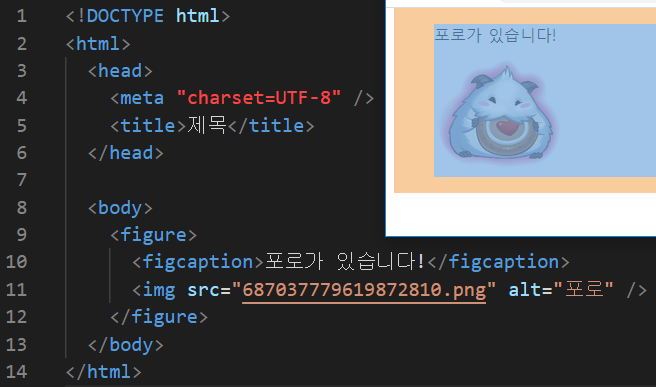  이미지와 수평선에 관련된 요소