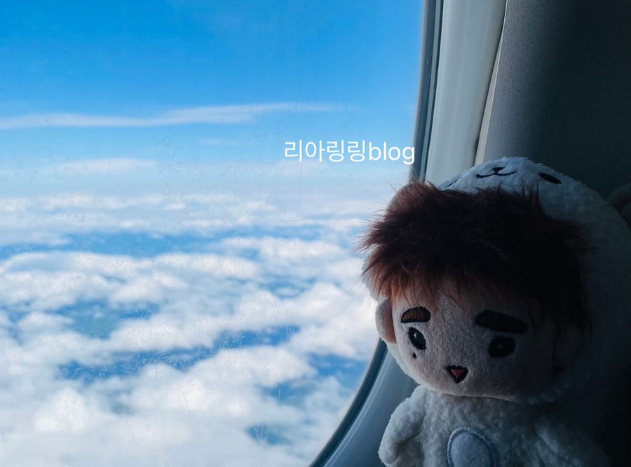 인터파크투어 내 인형만 해외 여행보내주는 상품 출시 가격 얼마? 모델 퉤터리 맠터리 뱀터리 10