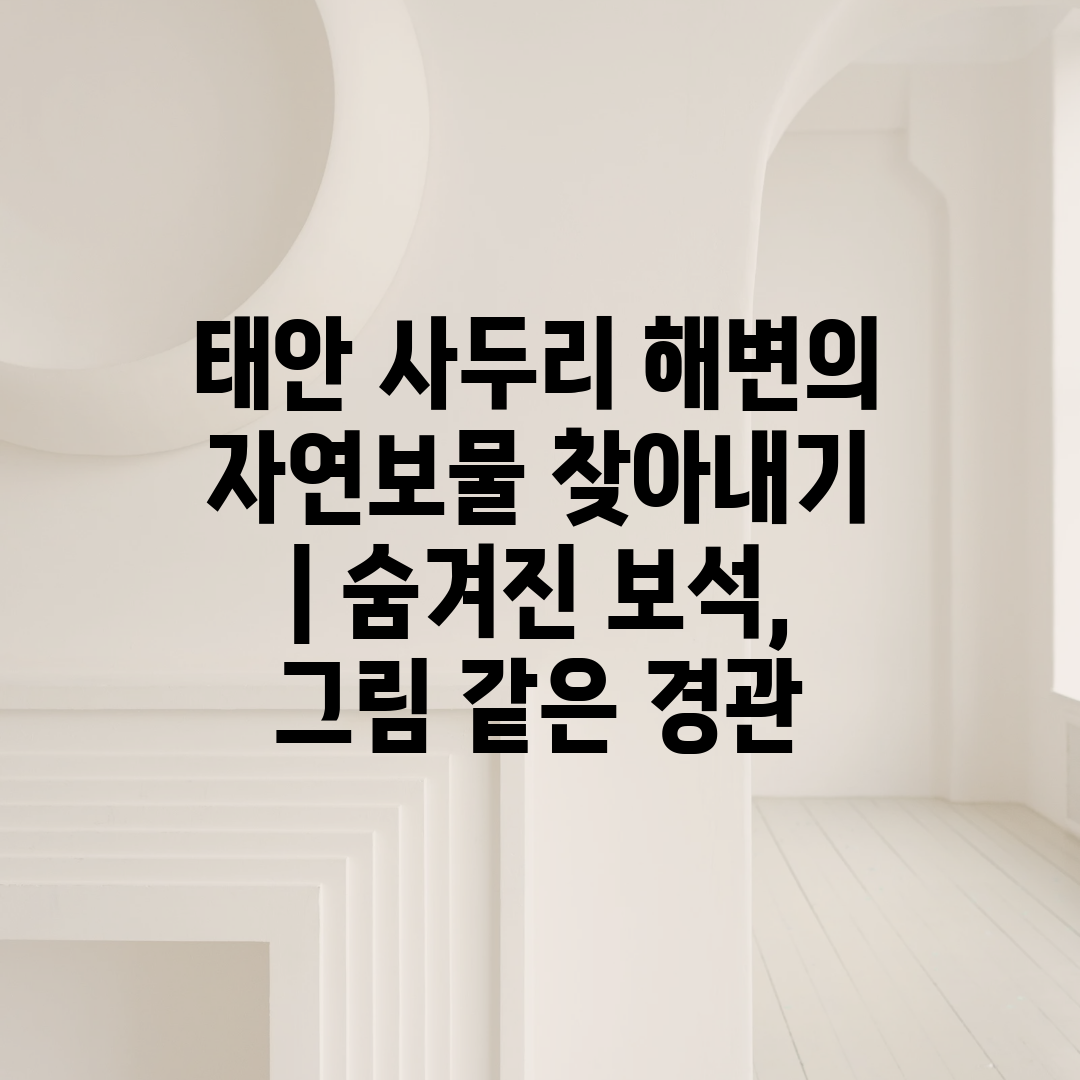 태안 사두리 해변의 자연보물 찾아내기  숨겨진 보석, 