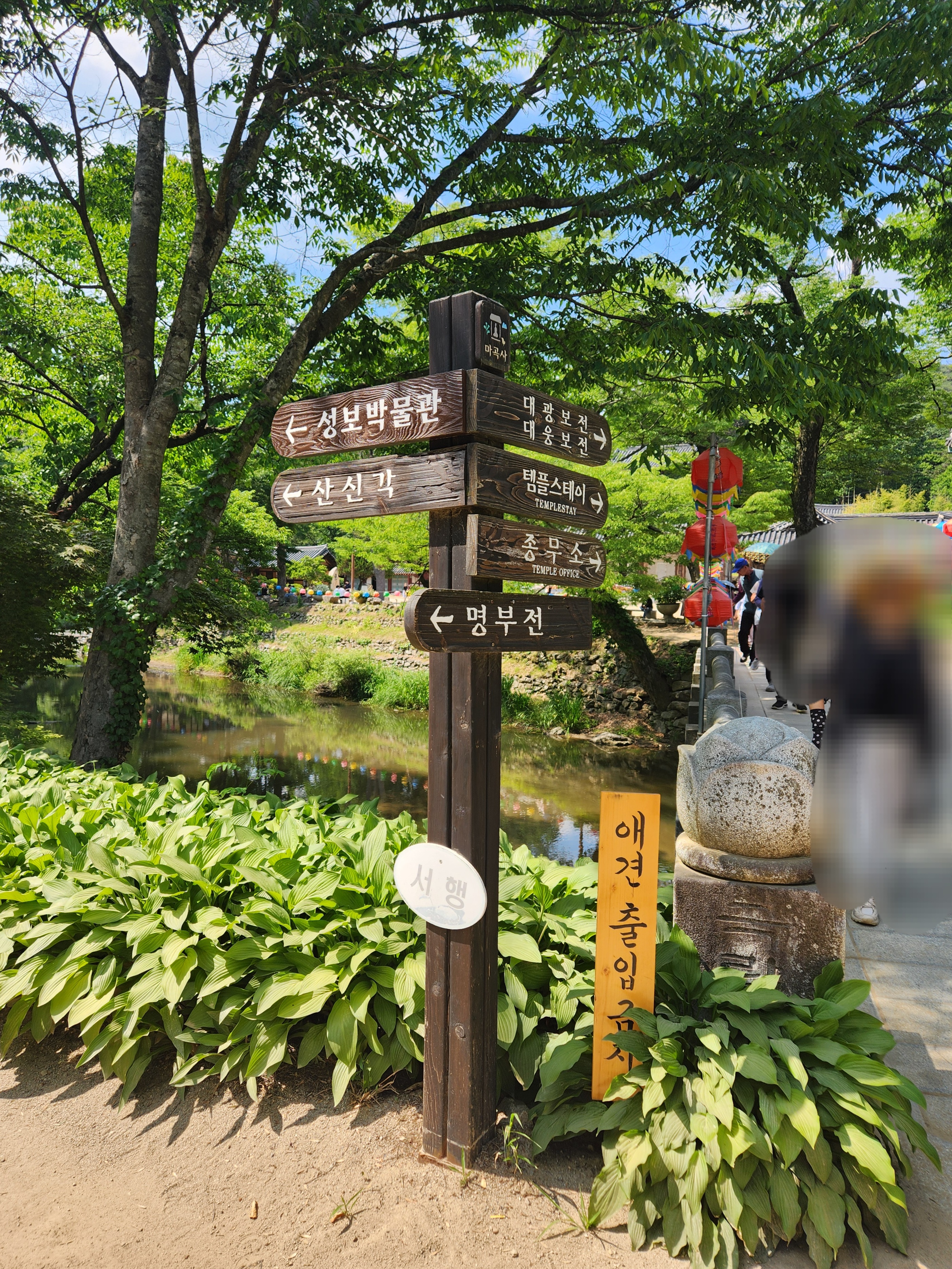 대전 세종 공주 가볼만한곳 마곡사