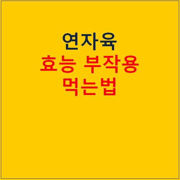 연자육 효능과 먹는법 총정리