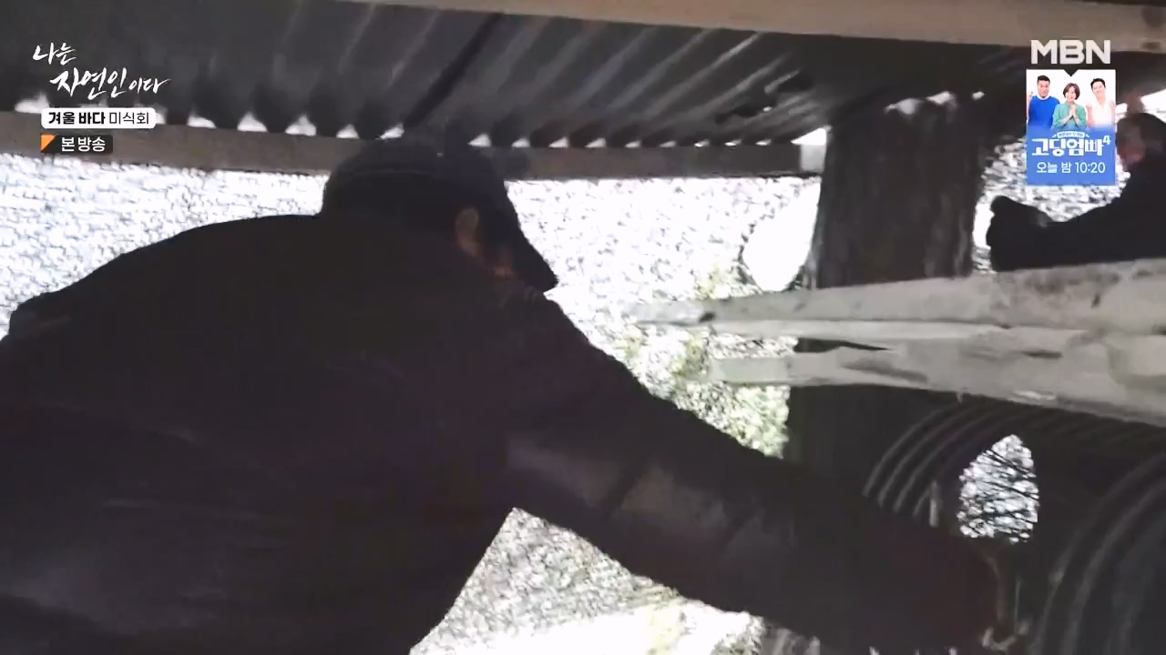 나는 자연인이다.E584.231214p-NEXT.mp4_20231214_194913.235.jpg
