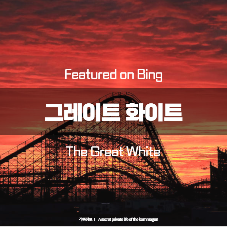 Featured on Bing 그레이트 화이트 The Great White