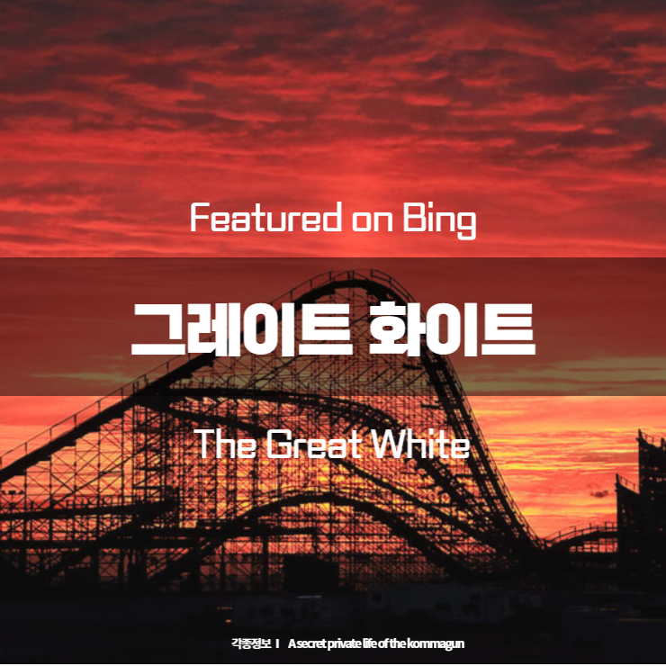  Featured on Bing  그레이트 화이트 The Great White