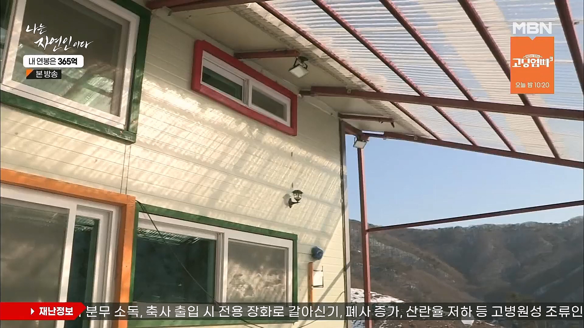 나는 자연인이다.E537.230118p.H264-F1RST.mp4_20230119_204836.801.jpg