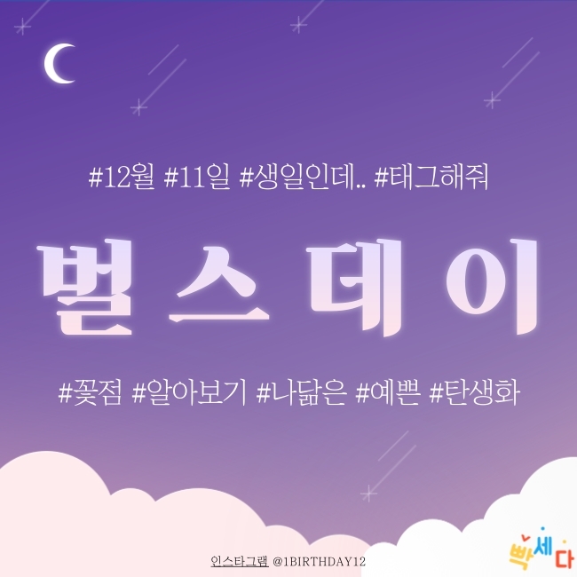 12월 11일은 무슨 날? 탄생화 탄생석 탄생목 12월 11일 탄생화는 단양쑥부쟁이 꽃점과 꽃말로 하루를 행복하게