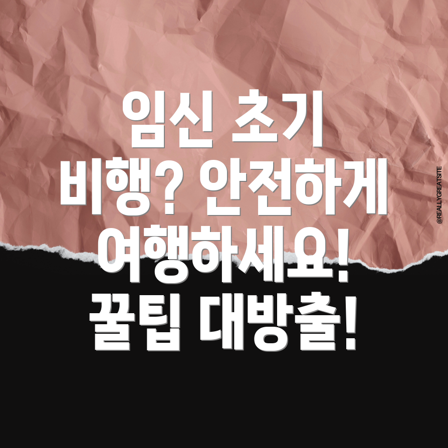 임신 극초기 비행기