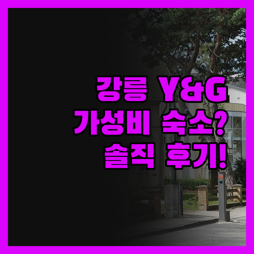 강릉 와이앤지 호텔 펜션, 가성비 숙