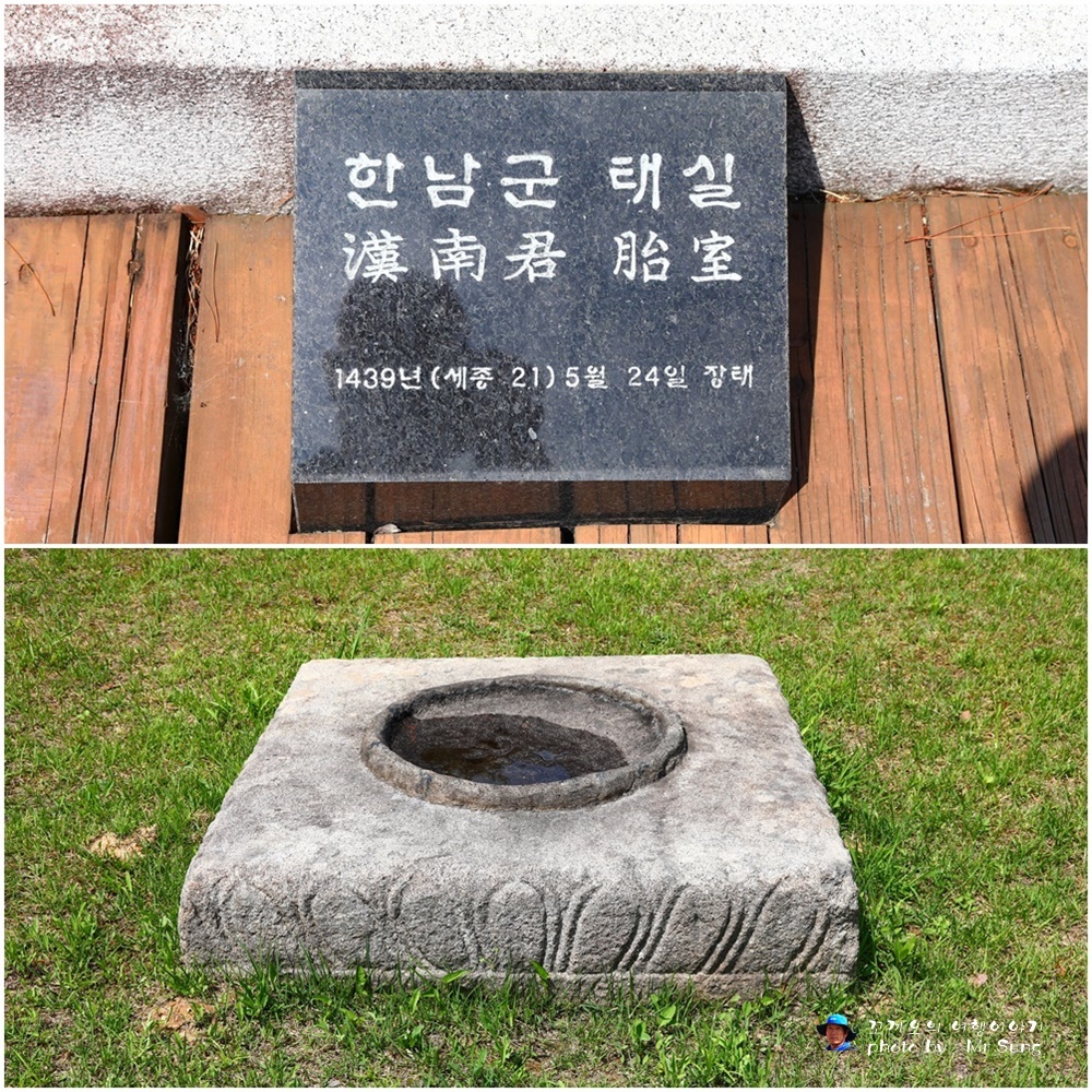 태가 이미지