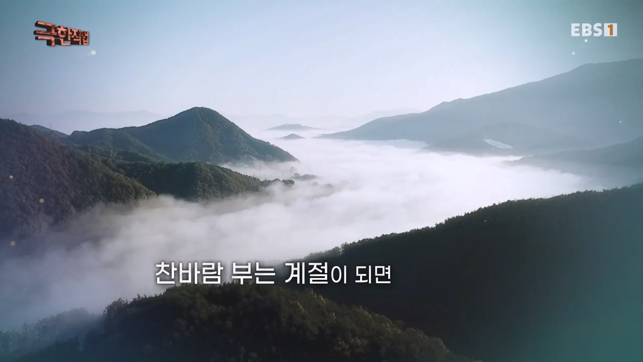 TV - 전 국민의 평생학교 EBS말려 먹는 맛! 건조식품의 세계.mp4_20231125_190719.347.jpg