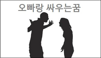 오빠랑 싸우는꿈