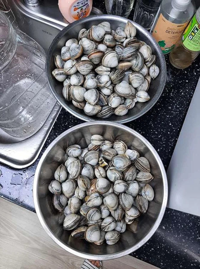 만돌갯벌체험학습장