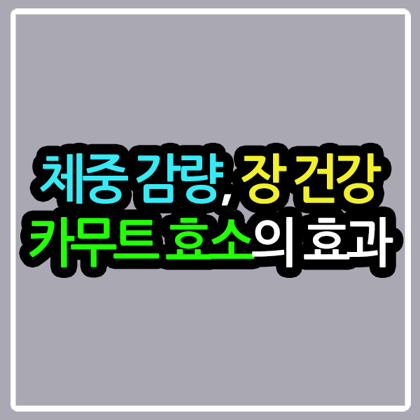 카무트 효소