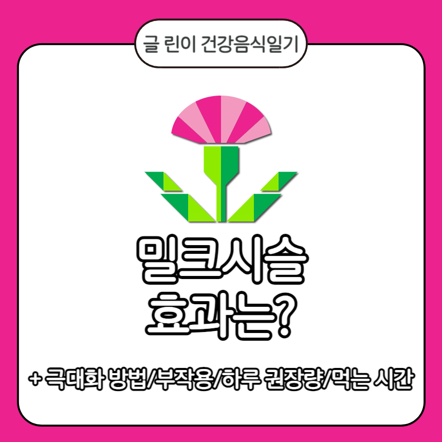  밀크시슬 효과는?