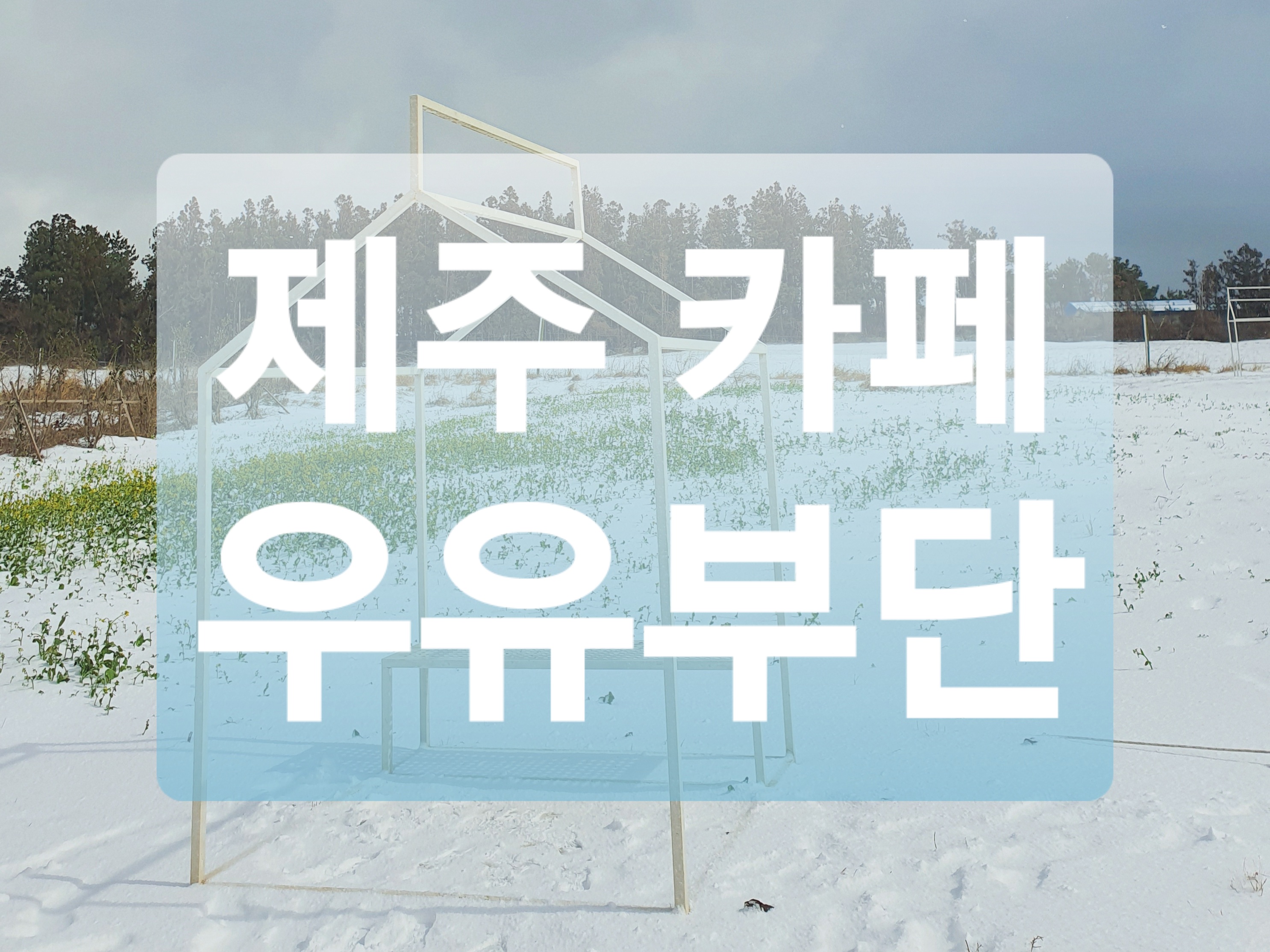  제주도 카페 :: 성이시돌 목장 우유 카페 우유부단