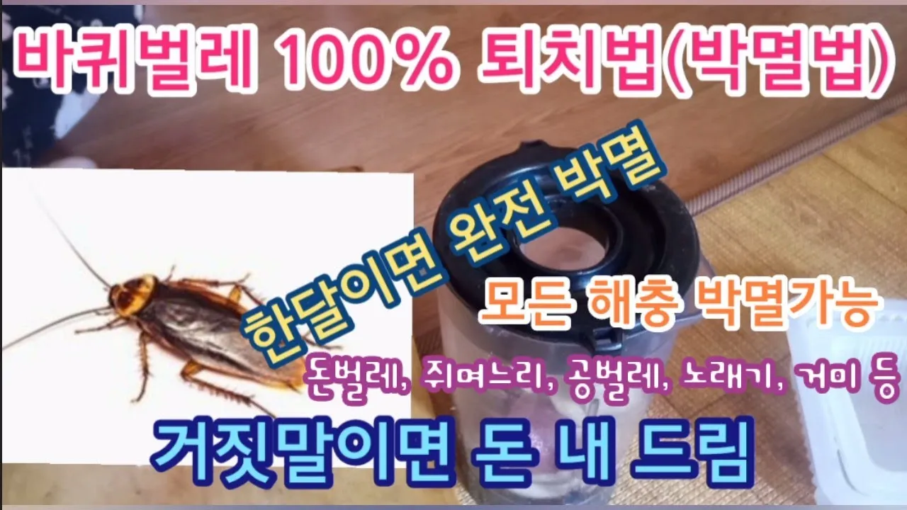바퀴벌레 퇴치방법 총정리_1