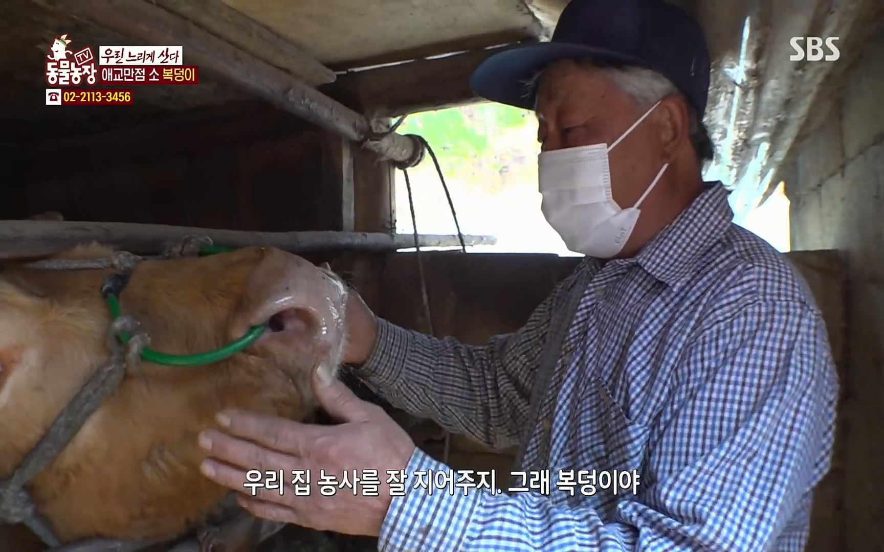 TV 동물농장.E1067.220501p.H264-F1RST.mp4_20220501_183526.038.jpg