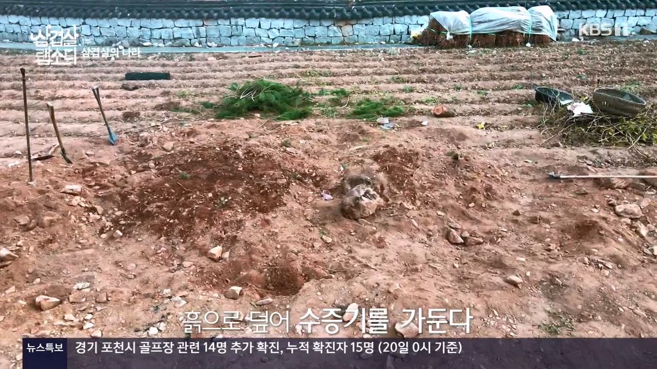 삼겹살 랩소디.E01.201221p-NEXT.mp4_20240221_195448.983.jpg