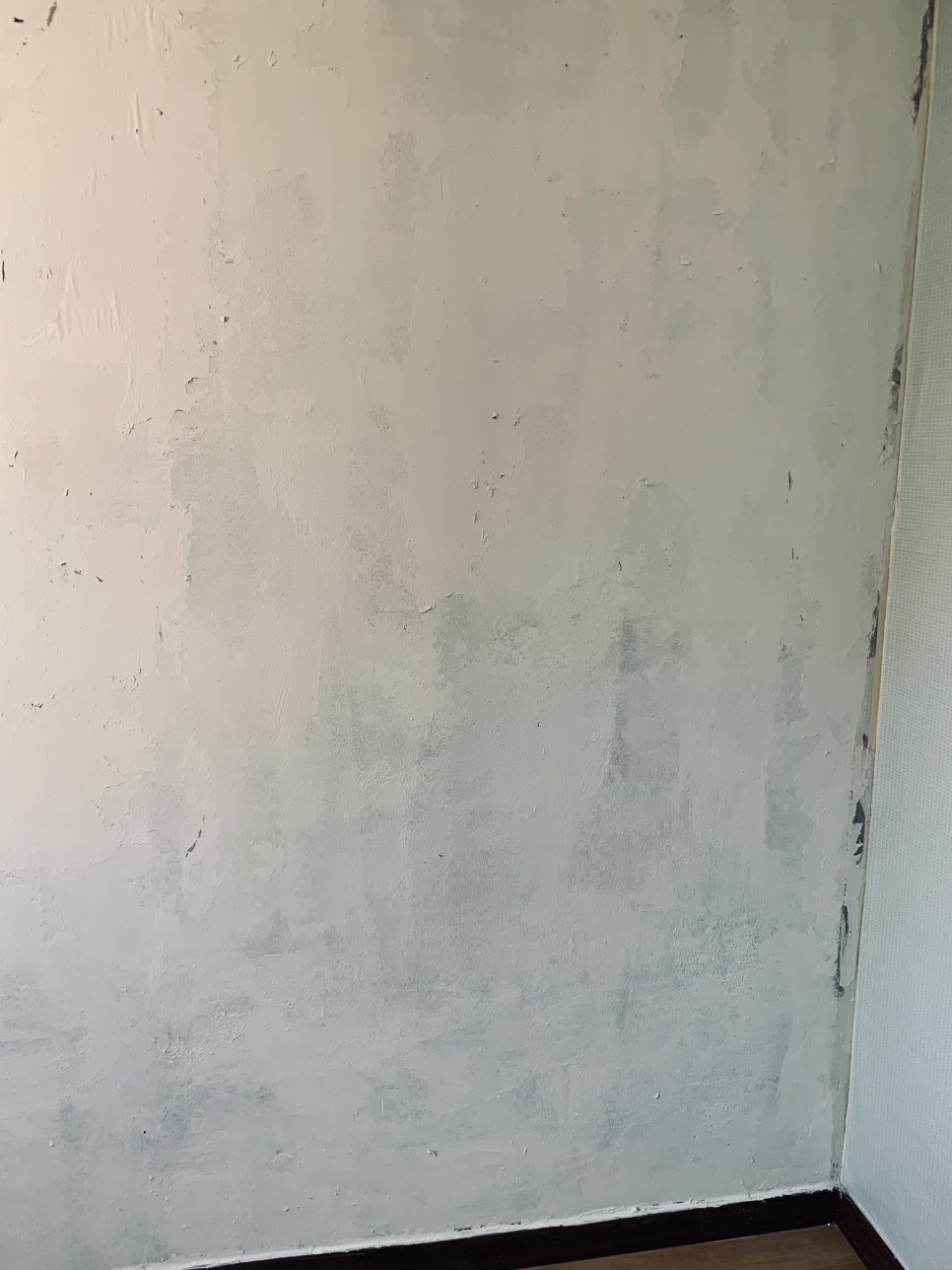 벽지곰팡이 제거 13