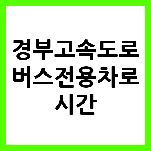 경부고속도로 버스전용차로 시간