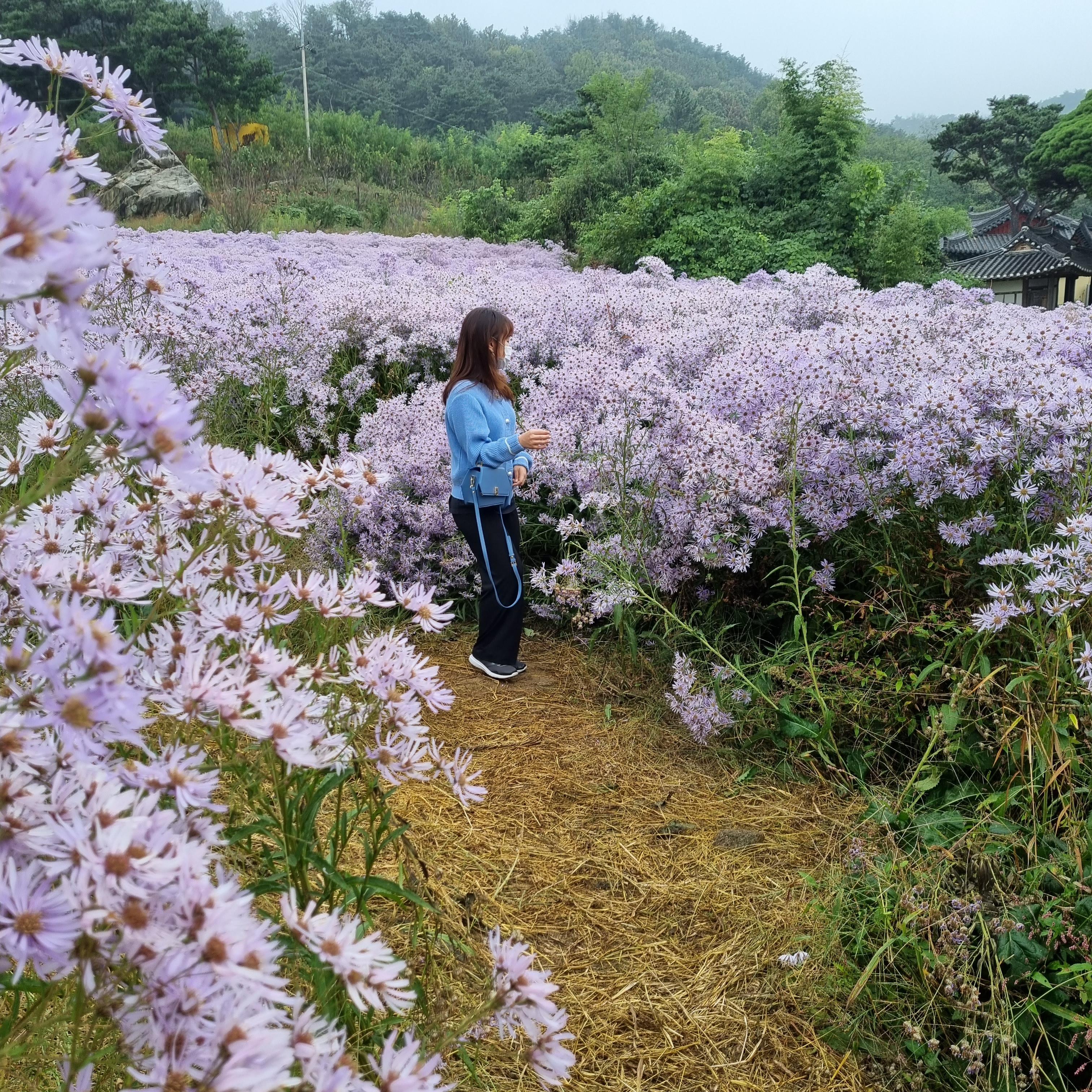 문경 봉천사