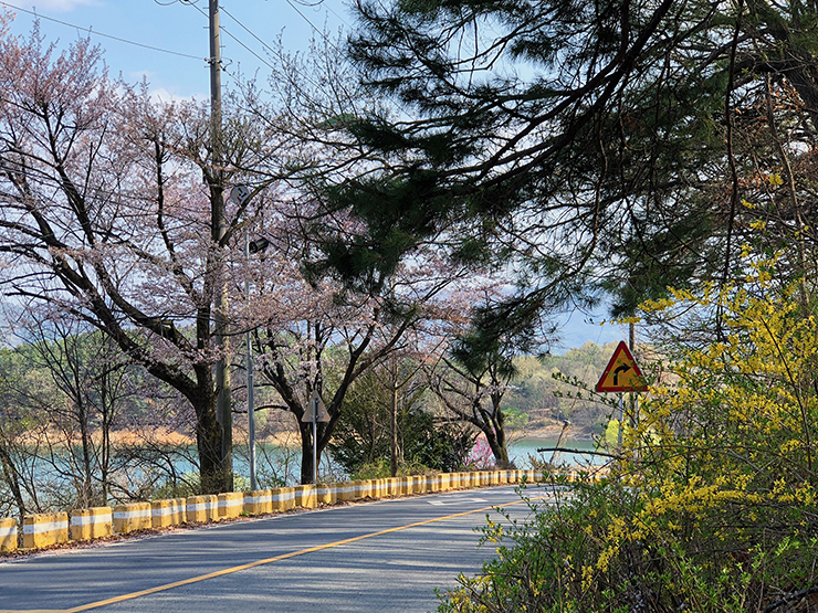 마산동