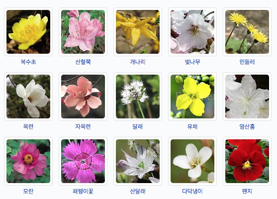  봄에 피는 꽃
