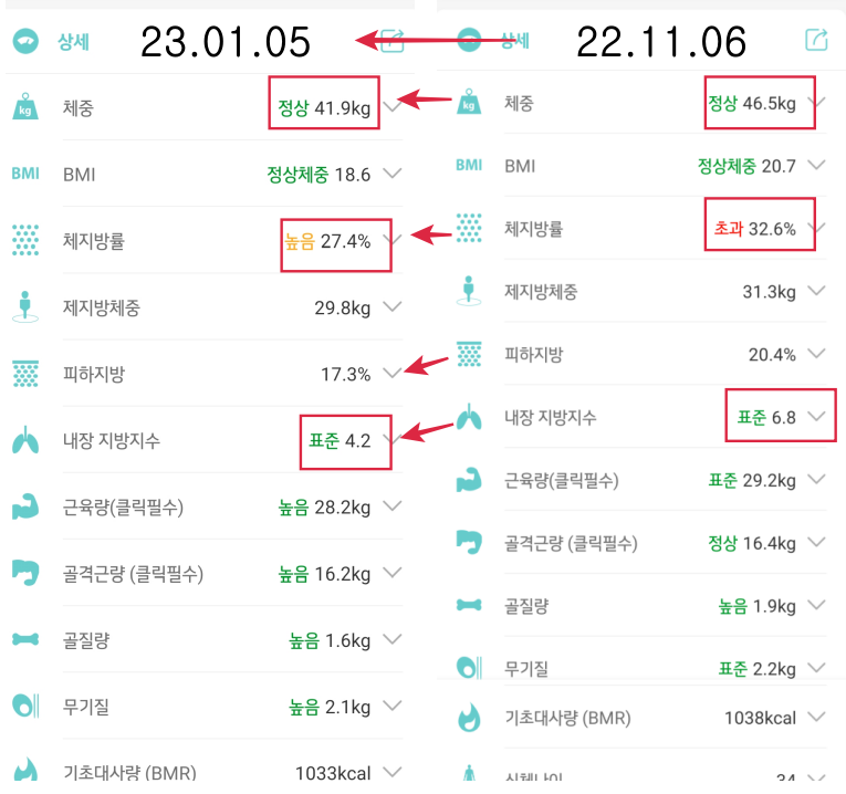 인바디 결과