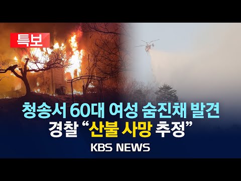 산불 사망